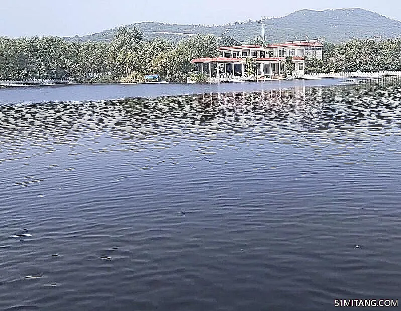 泰安景点:天鹅湖风景区