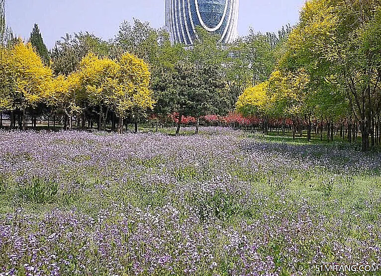 北京旅游景点:雁栖蓝天牧场