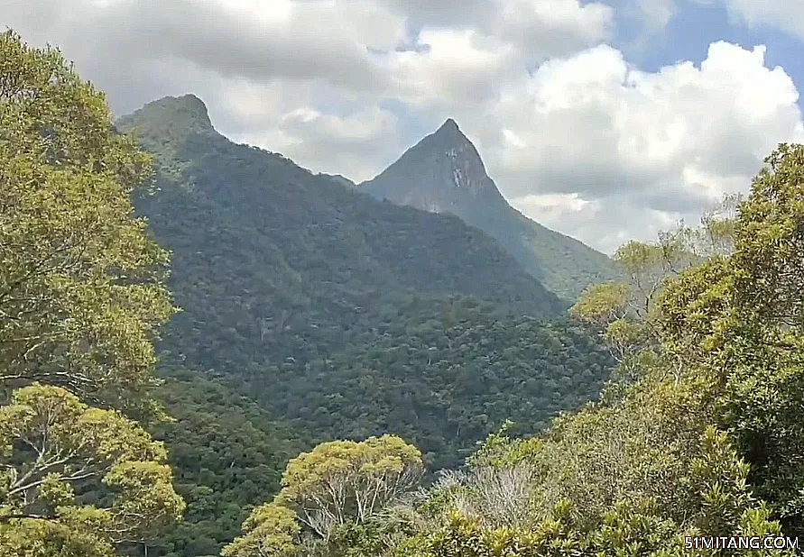 海南旅游景点:尖峰岭森林公园