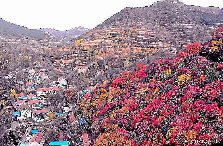 潍坊景点:柿子沟风景区