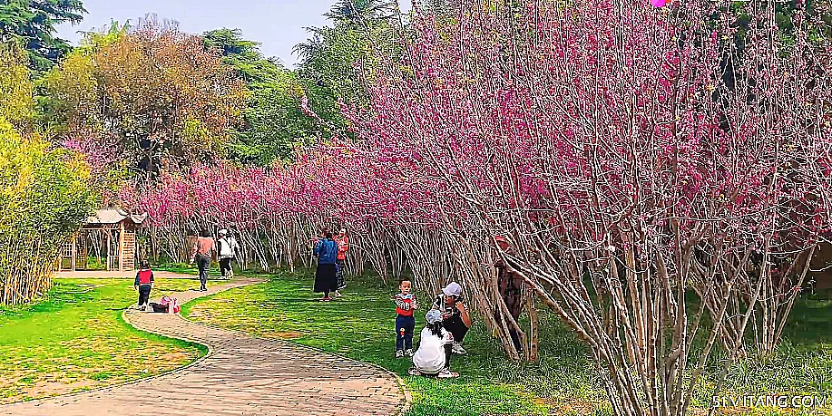 北京旅游景点:龙旺庄公园