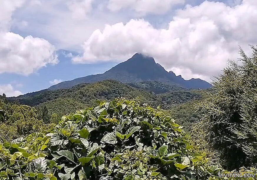 海南旅游景点:海南岛五指山热带雨林风景区