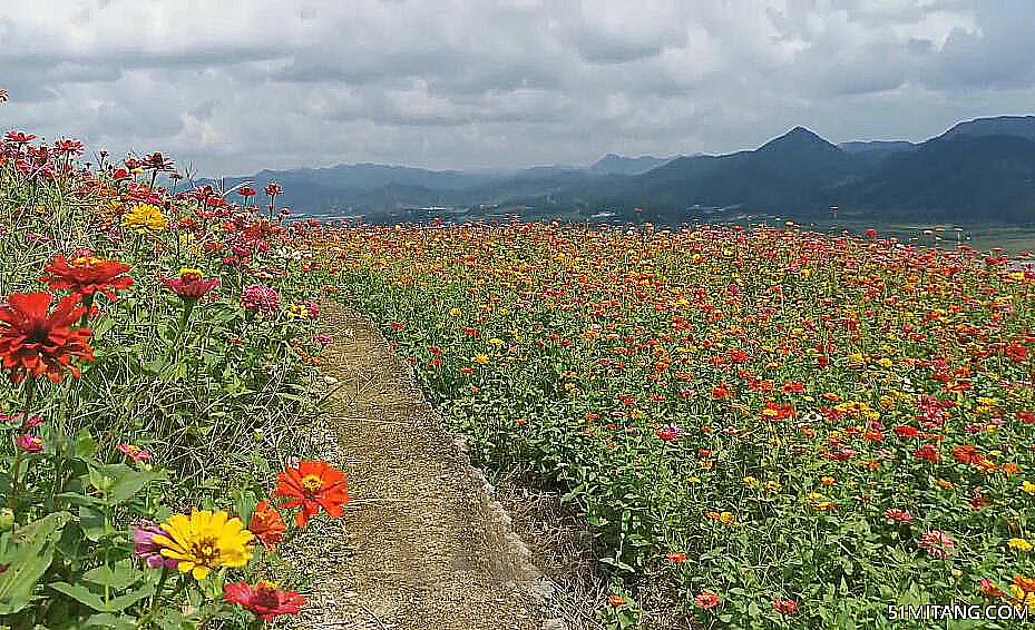 武汉景点:七彩花海公园