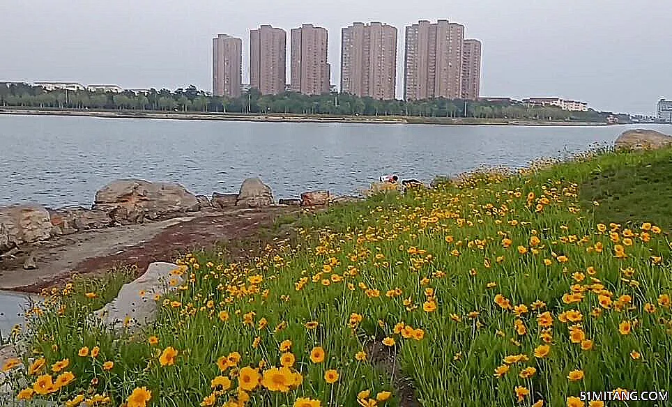 威海景点:潮汐湖湿地公园