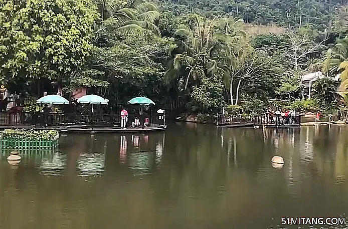 海南旅游景点:呀诺达雨林谷