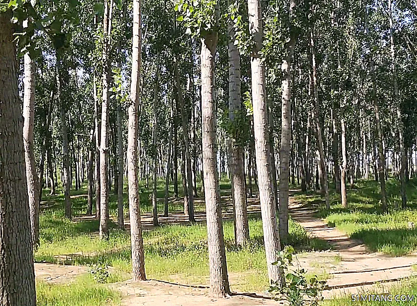 沧州景点:小山火山地质公园