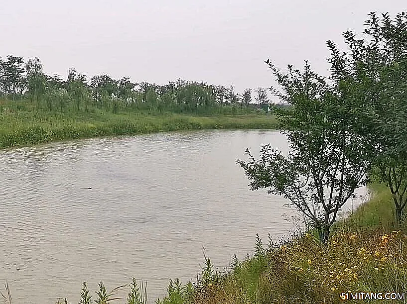 德州景点:黄河湾湿地公园