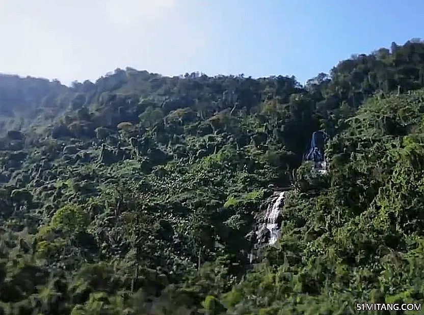 海南旅游景点:百花岭热带雨林文化