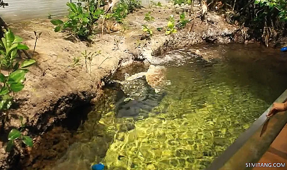 海南旅游景点:红树湾湿地体验馆