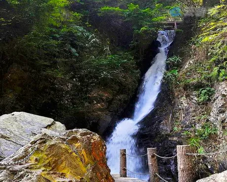 德庆盘龙峡生态旅游区