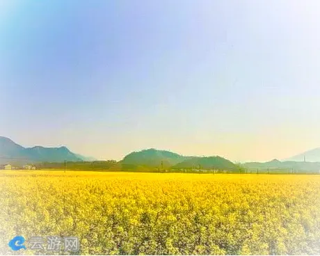 石台醉山野度假区