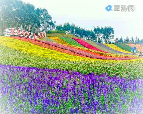 福建十里蓝山景区