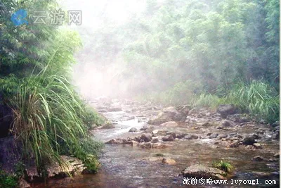 宜昌泗溪景区(三峡竹海景区)