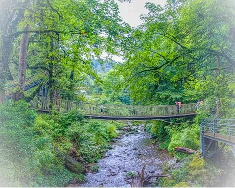 雅安龙苍沟叠翠溪景区