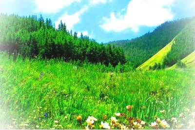 景泰寿鹿山景区