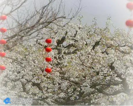 蚌埠固镇县香雪度假村