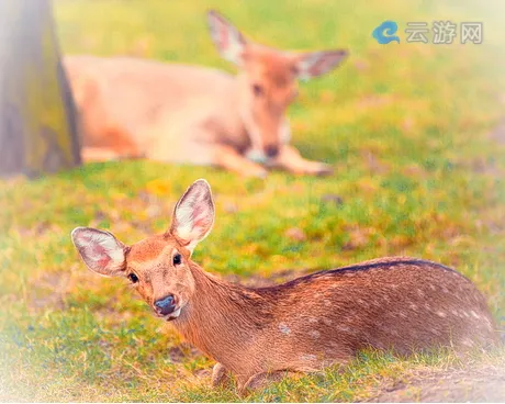 中山迪茵湖生态旅游度假村