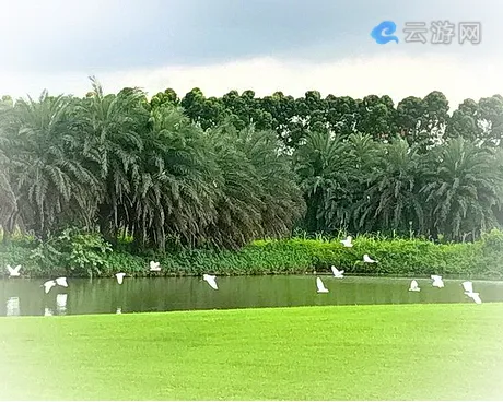 中山迪茵湖生态旅游度假村