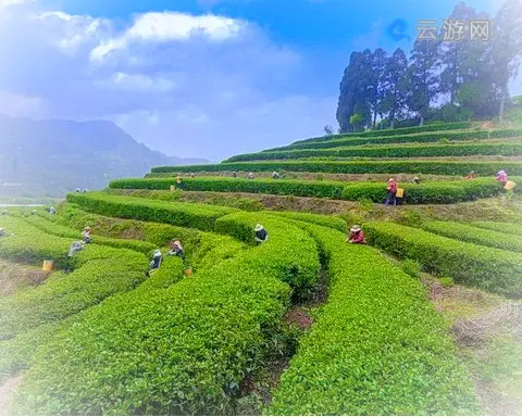 平和高峰谷景区