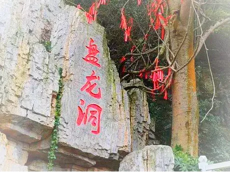 除了盘龙溶洞，景区还建设有酒店、游乐场等游乐设施，为一个旅游度假、休闲娱乐、拓展训练、夏令营活动、生态农业生产体验为一体的多功能景区。