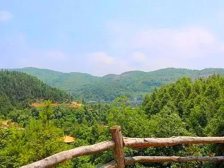 重庆沙坪坝太寺垭森林公园