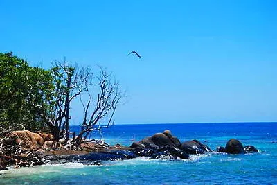 巽寮湾鸽子岛