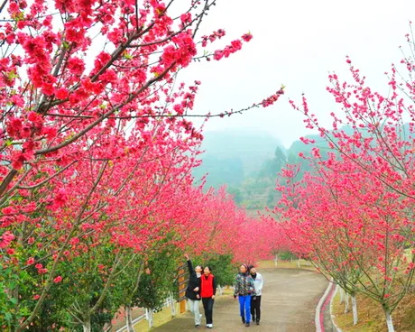 梅县麓湖山景区