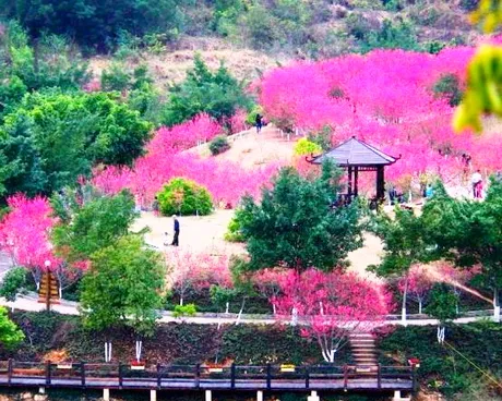 梅县麓湖山景区