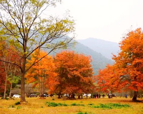 仁化灵溪河森林旅游度假公园