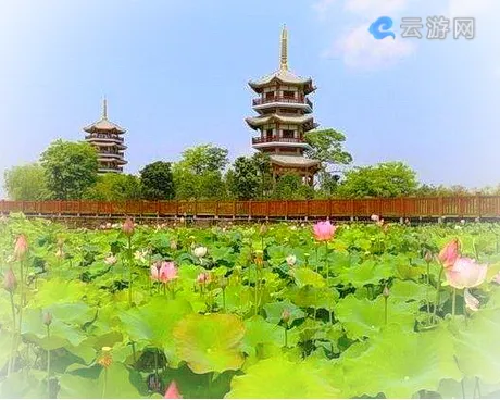 玉林五彩田园乡村生态旅游景区