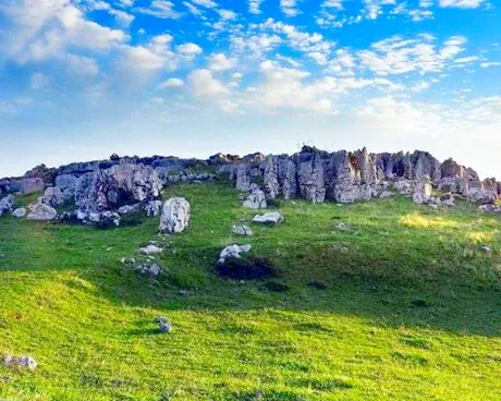 宜昌百里荒高山草原旅游度假区