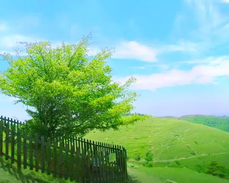 宜昌百里荒高山草原旅游度假区