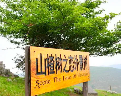 宜昌百里荒高山草原旅游度假区