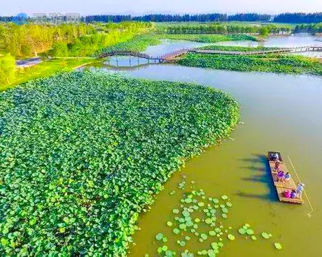 高淳固城湖水慢城