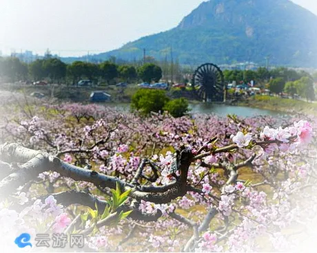 阳山桃花源/阳山桃花岛