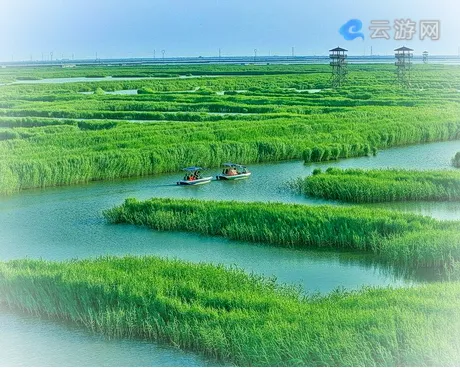 扬州高邮湖芦苇荡湿地公园度假区