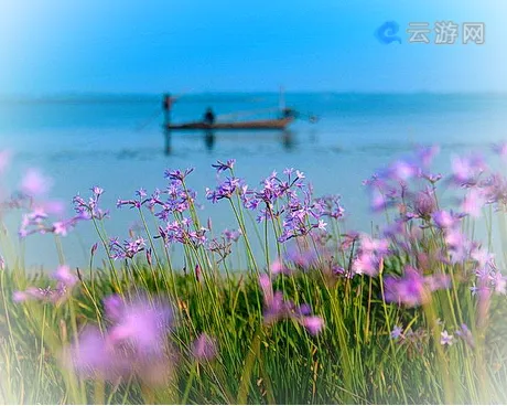 苏州阳澄湖半岛旅游度假区