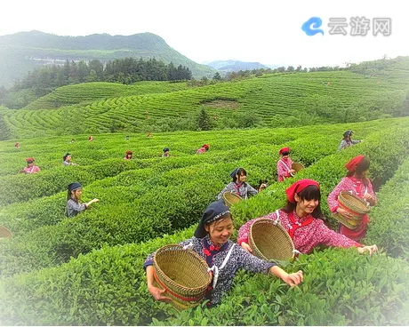 黄陂花乡茶谷旅游度假风景区