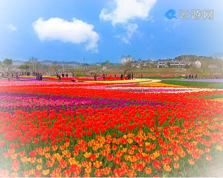 武汉木兰花乡景区