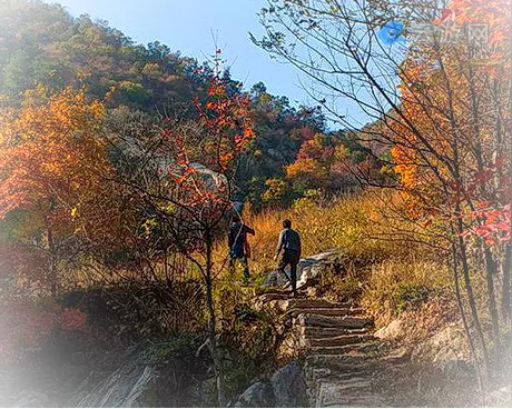 大悟十八潭风景区