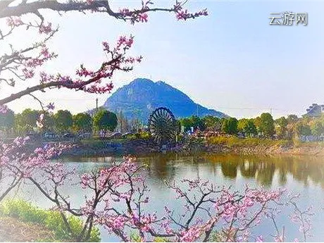 阳山桃花源景区