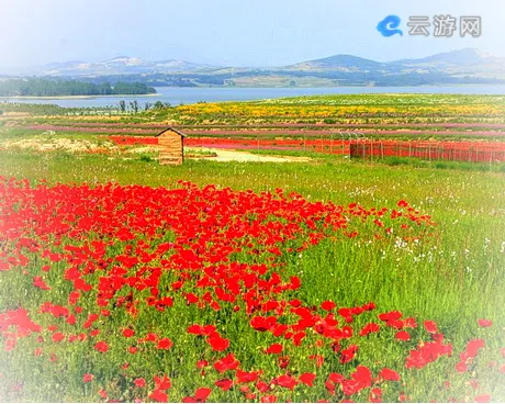 日照花仙子景区