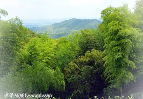 莫干山旅游