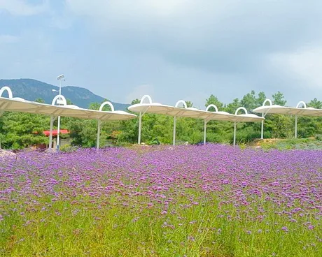 昆明香草芳林休闲庄园