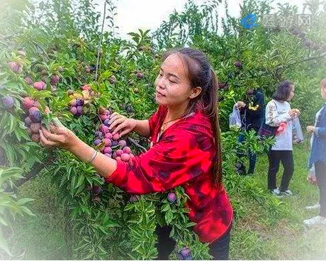 忻州定襄凤凰山生态植物园