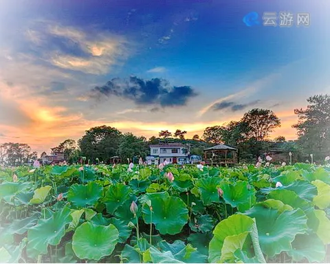 龙岩汀江国家湿地公园