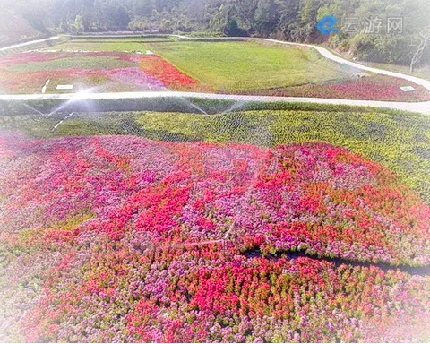 龙岩汀江国家湿地公园