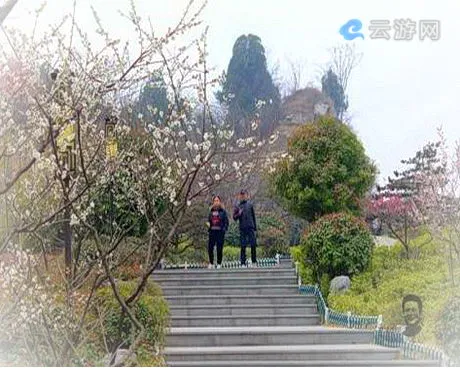 徐州龟山风景区（龟山汉墓）