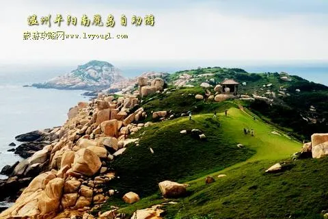 温州平阳南麂列岛自助旅游