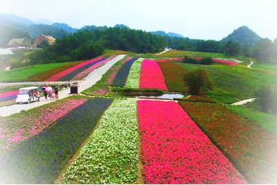 巫溪红池坝森林公园